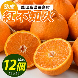 【ふるさと納税】長島町産 紅不知火 2～3L しらぬい みかん ミカン 蜜柑 柑橘 果物 くだもの フルーツ 国産 九州 鹿児島県産 長島 ふるさと 特産品 【株式会社羽根】hane-1560
