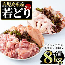 【ふるさと納税】若どりムネ肉・モモ肉・手羽先・手羽元各2kgセット(合計8kg)鹿児島県 国産 九州 特産品 長島町 とり肉 鶏肉 トリ肉 もも肉 鳥肉 小分け 唐揚げ 唐あげ BBQ バーベキュー 蒸鶏 【まつぼっくり】matu-6101