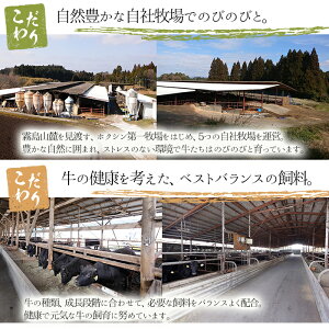 【ふるさと納税】国産!鹿児島県産黒毛和牛(経産牛)熟成牛肉!すき焼き肉・しゃぶしゃぶ用ロース肉セット500g【ホクシン】