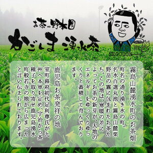 【ふるさと納税】【数量限定】暑い夏に!水分補給に!冷たい水出し湧水ティーバッグ5袋(5g×20パック入りヒモなし)【野本園】