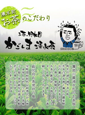 【ふるさと納税】霧島山麓で育った新芽のみで作った「厳選一番茶セット」やぶきた・おくみどり・さえみどり使用【野本園】