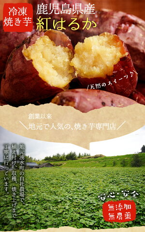 【ふるさと納税】D01冷凍やきいも【ピューエヌ】
