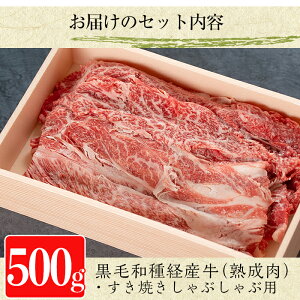 【ふるさと納税】国産!鹿児島県産黒毛和牛(経産牛)熟成牛肉!すき焼き肉・しゃぶしゃぶ用ロース肉セット500g【ホクシン】