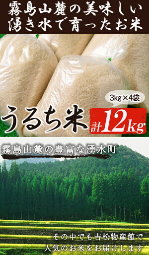 【ふるさと納税】吉松物産館で人気のお米12kg【吉松物産館】