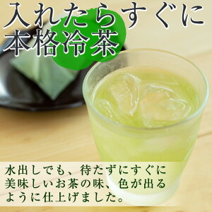 【ふるさと納税】【数量限定】暑い夏に!水分補給に!冷たい水出し湧水ティーバッグ5袋(5g×20パック入りヒモなし)【野本園】