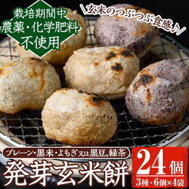 【ふるさと納税】《先行予約受付中！2025年11月以降順次発送》《数量限定》発芽玄米餅24個(6個入×4パック) 栽培期間中農薬・化学肥料不使用の自家製もち玄米を3種のお餅に！ もち げんまい 玄米 農薬不使用 化学肥料不使用 食べ比べ オーガニック 有機 有機農業【雲月農園】