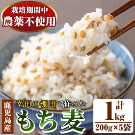 【ふるさと納税】棚田で作ったもち麦200g×5袋(計1kg)！日本棚田百選に選定されている「鹿児島県湧水町幸田棚田のもち麦」国産 九州産 鹿児島県産 もち麦 ごはん ご飯 ダイエット 健康【福永商店】