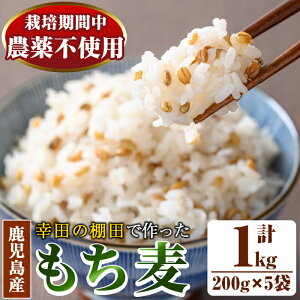 yӂ邳Ɣ[ŁzIcō200g×5(v1kg)I{IcSIɑI肳ĂuNKcIĉvY BY Y  ͂  _CGbg Nyi