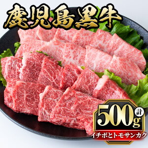 yӂ邳Ɣ[Łzsʌt󏭕ʃC`{ƃgTJNēHה׃Zbg(C`{250gEgTJN250g)  ē ₫ɂ Ԑg BBQ o[xL[ Ⓚ  ~ Jy
