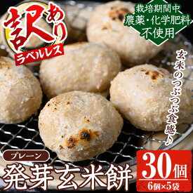 【ふるさと納税】《訳あり！先行予約！2025年11月以降順次発送》発芽玄米餅 計30個(プレーン6個×5袋) ラベルレス！栽培期間中農薬・化学肥料不使用の自家製もち玄米をお餅に！ お餅 餅 おもち もち 玄米 農薬不使用 化学肥料不使用 オーガニック 有機 有機農業 【雲月農園】