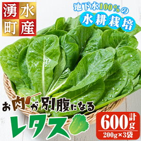【ふるさと納税】《2026年9月以降順次発送》お肉が別腹になるレタス 計600g (200g×3袋) 国産 九州産 鹿児島県産 湧水町産 野菜 やさい レタス ロメインレタス 焼肉 焼き肉 バーベキュー BBQ 冷しゃぶ サラダ 水耕栽培【霧島製萌】
