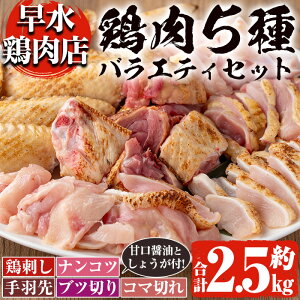 yӂ邳Ɣ[ŁzIׂ遄YIƐ{5oGeBZbg(2.5kg) Y BY h {h  { Ƃ肳 { Ƃ H א؂ iRc Ƃ 