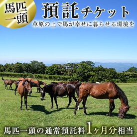 【ふるさと納税】預託チケット！馬匹一頭の通常預託料1ヶ月分に相当するチケット(1枚) 馬 競走馬 競馬 乗馬 乗用馬 預託【NPO法人ホーストラスト】