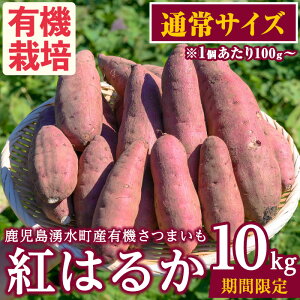 yӂ邳Ɣ[Łze/TCYIׂE/ʌNYL@܂ug͂邩v(v5~10kg) Y BY Y L@͔| I[KjbN Tc}C   Ă ₫