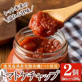 【ふるさと納税】《数量限定》トマトケチャップ2個(280g×2個)完熟有機トマトを使用した手作りトマトケチャップはそのままソースとしても使える優しいお味の調味料 国産 九州産 有機野菜 とまと オムライス オムレツ 【雲月農園】