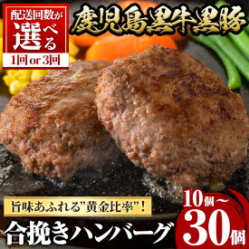 【ふるさと納税】＜配送回数が選べる！＞鹿児島黒牛黒豚ハンバーグ(10個/30個) 肉 豚 ぶた ブタ 豚肉 牛 牛肉 パック 小分け 冷凍 ハンバーグ はんばーぐ 合挽き あいびき 定期便 毎月 おかず 惣菜 調理【さつま屋産業】