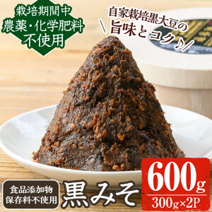 yӂ邳Ɣ[ŁzsʌtX(čƍ哤)v600g(300g×2pbN) X X 哤 哤 cy a č   ݂` X` L@ L@_ L@엿 y__z