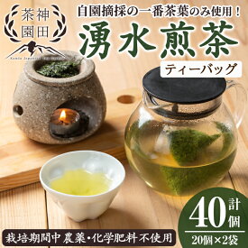 【ふるさと納税】鹿児島県湧水町産！栽培期間中農薬・化学肥料不使用！湧水煎茶ティーバッグ 計40個(20個×2袋) 国産 九州産 鹿児島県産 茶葉 お茶 茶 日本茶 緑茶 煎茶 ティーバッグ ギフト 贈答 プレゼント 贈り物【神田茶園】