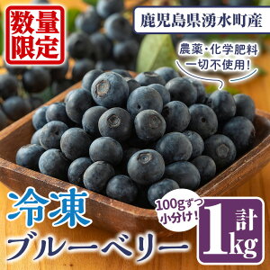 yӂ邳Ɣ[ŁzsʌtⓀu[x[(v1kgE100g×10pbN) Ⓚ Y BY Y  ʕ t[c V[xbg W t[Y x[  fU[gy̌