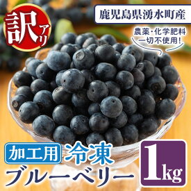 【ふるさと納税】《先行予約受付中!2026年9月以降順次発送》《訳あり・加工用》冷凍ブルーベリー(1kg) 冷凍 無農薬 国産 九州産 鹿児島県産 くだもの 果物 フルーツ シャーベット ジャム フローズン ベリー おやつ デザート【体験型観光農園さつまドリームファーム】