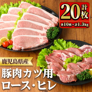 yӂ邳Ɣ[ŁzY[XJcEqJcZbg([XJcp100g×10EqJcp30g×10Ev20) Y BY ؓ Ԃ  [X q Ƃ񂩂 |[NXe[L Ⓚ yT