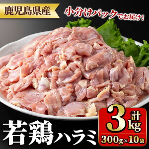 yӂ邳Ɣ[ŁzY{n~(300g×10܁Ev3kg) Y {   {  n~   Ⓚ ^pbNyTRINITYz