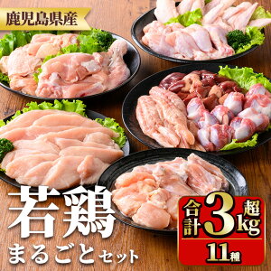 yӂ邳Ɣ[ŁzY{܂邲ƃZbg(v3.05kg) Y {   {    ނ˓ l   TT~ ؂Ȃ   H L`u H  
