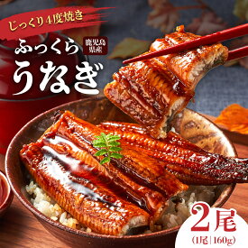 【ふるさと納税】地下水で育てた絶品うなぎ うなぎ 長蒲焼 ( 1尾 160g ) | ふるさと納税 うなぎ 高級 ウナギ 鰻 国産 蒲焼 蒲焼き たれ 鹿児島 大隅 大崎町 ふるさと 人気 送料無料