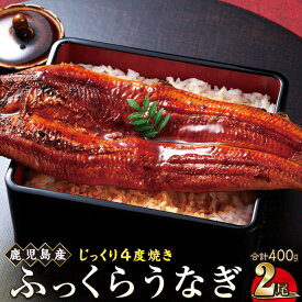 【ふるさと納税】うなぎ 鰻 うなぎ蒲焼 選べる 内容量 配送 ( 1尾あたり 200g ) | ふるさと納税 うなぎ 高級 ウナギ 鰻 国産 蒲焼 蒲焼き たれ 鹿児島 大隅 大崎町 ふるさと 人気 送料無料