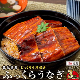 【ふるさと納税】うなぎ 鰻 うなぎ蒲焼 選べる 内容量 配送 ( 1尾あたり 160g ) | ふるさと納税 うなぎ 高級 ウナギ 鰻 国産 蒲焼 蒲焼き たれ 鹿児島 大隅 大崎町 ふるさと 人気 送料無料