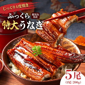 【ふるさと納税】地下水で育てた絶品うなぎ うなぎ 長蒲焼 一尾あたり 200g | ふるさと納税 うなぎ 高級 ウナギ 鰻 特大 国産 蒲焼き 蒲焼 鹿児島 大隅 大崎町 ふるさと 人気 送料無料