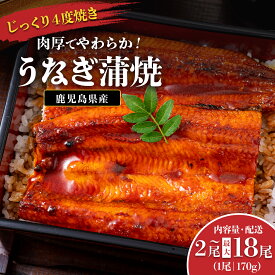 【ふるさと納税】うなぎ 鰻 うなぎ蒲焼 選べる 内容量 配送 ( 1尾あたり 170g ) | ふるさと納税 うなぎ 高級 ウナギ 鰻 国産 蒲焼 蒲焼き たれ 鹿児島 大隅 大崎町 ふるさと 人気 送料無料