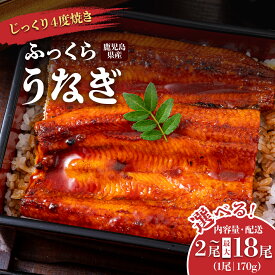 【ふるさと納税】うなぎ 鰻 うなぎ蒲焼 選べる 内容量 配送 ( 1尾あたり 170g ) | ふるさと納税 うなぎ 高級 ウナギ 鰻 国産 蒲焼 蒲焼き たれ 鹿児島 大隅 大崎町 ふるさと 人気 送料無料