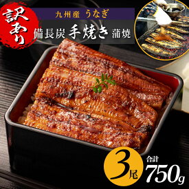 【ふるさと納税】【 訳あり 】 うなぎ 超特大 有頭 長蒲焼 | ふるさと納税 うなぎ 高級 ウナギ 鰻 国産 蒲焼 蒲焼き たれ 九州地焼き 地焼き 備長炭焼 鹿児島 大隅 大崎町 ふるさと 人気 送料無料