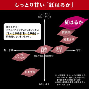 アイテムID:668049の画像3枚目