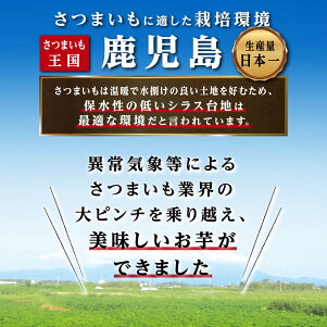 アイテムID:668049の画像2枚目
