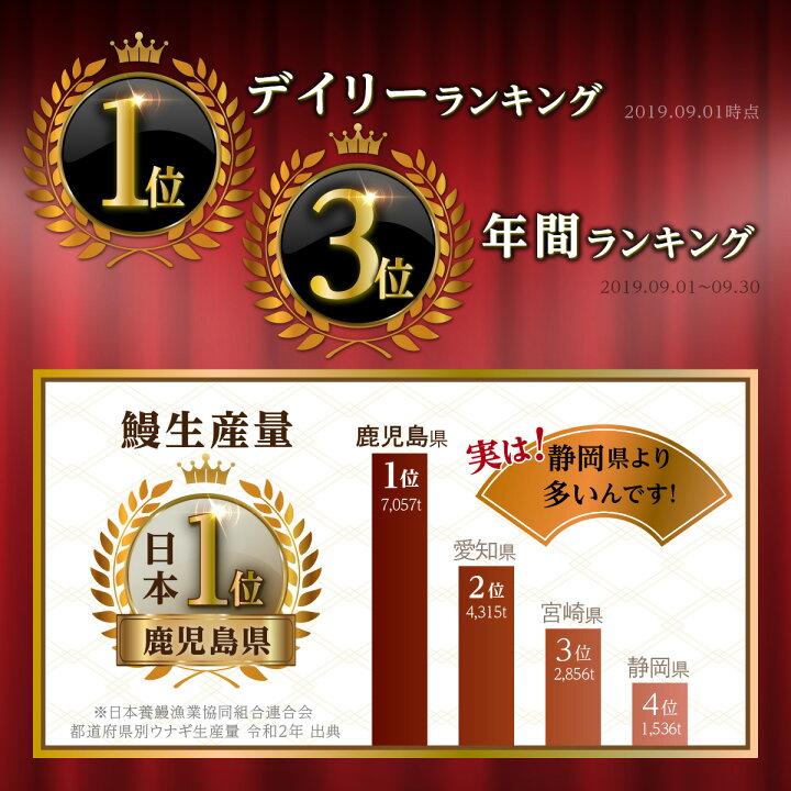 楽天市場 ふるさと納税 12 31 寄附受付終了 高レビュー 4 5以上 鹿児島県 大崎町 うなぎ 長蒲焼 2尾 330g ふるさと納税 うなぎ ウナギ 鰻 国産 蒲焼 蒲焼き たれ 鹿児島 大崎町 ふるさと 人気 鹿児島県大崎町