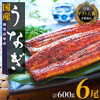 うなぎ 総合ランキング 上位 獲得 鰻 長蒲焼 6尾 600g | ふるさと納税 うなぎ 高級 ウナギ 鰻 国産 蒲焼 蒲焼き たれ 鹿児島 大隅 大崎町 ふるさと 人気 送料無料