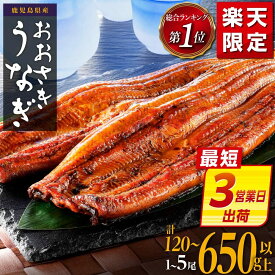 【ふるさと納税】【最短3営業日出荷】9月30日受付終了 ギフト大賞受賞 ランキング 1位 うなぎ 国産 鰻 蒲焼き 1尾 〜 5尾 120g 〜 650g | ふるさと納税 うなぎ 高級 長蒲焼 鰻 訳あり 不揃い 限定 ウナギ unagi 丑の日 鹿児島 大崎町 ふるさと 人気 ランキング 送料無料