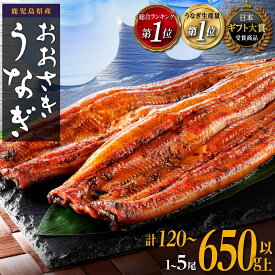 【ふるさと納税】 ギフト大賞受賞 ランキング 1位 うなぎ 国産 鰻 蒲焼き 1尾 〜 5尾 120g 〜 650g | ふるさと納税 うなぎ 高級 長蒲焼 鰻 訳あり 不揃い 限定 ウナギ unagi 丑の日 鹿児島 大崎町 ふるさと 人気 ランキング 送料無料