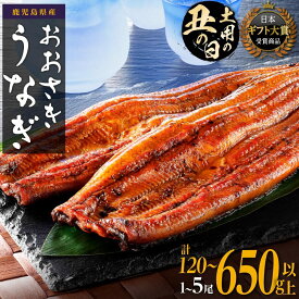 【ふるさと納税】ギフト大賞受賞 ランキング 1位 土用の丑の日 うなぎ 国産 鰻 蒲焼き 1尾 〜 5尾 120g 〜 650g | ふるさと納税 うなぎ 高級 長蒲焼 鰻 訳あり 不揃い 限定 ウナギ unagi 丑の日 鹿児島 大崎町 ふるさと 人気 ランキング 送料無料