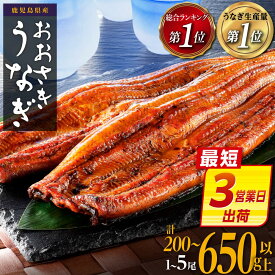 【ふるさと納税】【最短3営業日出荷】 ギフト大賞受賞 ランキング 1位 うなぎ 国産 鰻 蒲焼き 1尾 〜 5尾 200g 〜 650g | ふるさと納税 うなぎ 高級 長蒲焼 鰻 訳あり 不揃い 限定 ウナギ unagi 丑の日 鹿児島 大崎町 ふるさと 人気 ランキング 送料無料