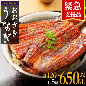 �y�ӂ邳�Ɣ[�Łz���Ȃ� �ً}�x���i ���]�� ��4.5�ȏ�I �V ������ 1�� 3�� 5�� 120g �` 650g | �ӂ邳�Ɣ[�� ���Ȃ� �󂠂� ���Y ���� �E�i�M �V unagi �N�̓� ���� ���Ă� ���� ������ ��� ��蒬 