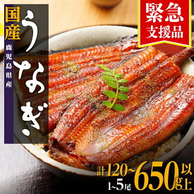 【ふるさと納税】うなぎ 緊急支援品 高評価 ★4.5以上！ 鰻 長蒲焼 1尾 3尾 5尾 120g ～ 650g | ふるさと納税 うなぎ 訳あり 国産 高級 ウナギ 鰻 unagi 丑の日 蒲焼 蒲焼き たれ 鹿児島 大隅 大崎町 ふるさと 人気 送料無料