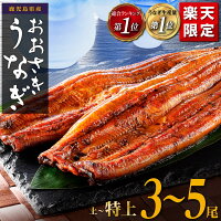【ふるさと納税】【楽天限定】 ギフト大賞受賞！総合ランキング1位！うなぎ ...