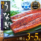 【ふるさと納税】うなぎ 総合ランキング 1位 獲得 鰻 長蒲焼 | ふるさと納税 うなぎ 高級 ウナギ 鰻 国産 蒲焼 蒲焼き たれ 鹿児島 大隅 大崎町 ふるさと 人気 送料無料