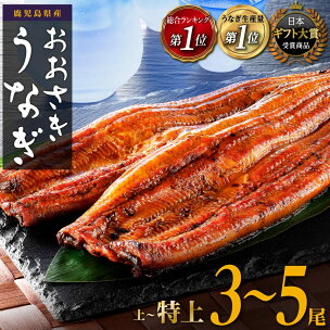 ギフト大賞受賞！総合ランキング1位！うなぎ 鰻 長蒲焼3~...