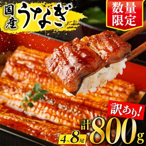 �y�ӂ邳�Ɣ[�Łz���Ȃ� �󂠂� �L�� ���Y ������ 4�� �` 8�� �V �v 800g | �ӂ邳�Ɣ[�� ���Ȃ� �󂠂� �s���� �K�i�O�i ���ʌ��� �N�̓� ���� �E�i�M unagi �킯���� ���ƒ�p ���� ���Ă� ���� 