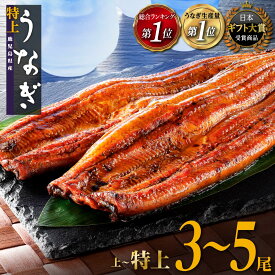 【ふるさと納税】ギフト大賞受賞！総合ランキング1位！うなぎ 鰻 長蒲焼3~5尾 | ふるさと納税 うなぎ 高級 ウナギ 鰻 訳あり 国産 蒲焼 蒲焼き たれ 鹿児島 大隅 大崎町 ふるさと 人気 送料無料