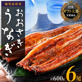 【ふるさと納税】うなぎ 総合ランキング 上位 獲得 鰻 長蒲焼 6尾 600g | ふるさと納税 うなぎ 高級 ウナギ 鰻 国産 蒲焼 蒲焼き たれ 鹿児島 大隅 大崎町 ふるさと 人気 送料無料